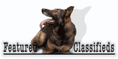 See the complete index of K-9s here.